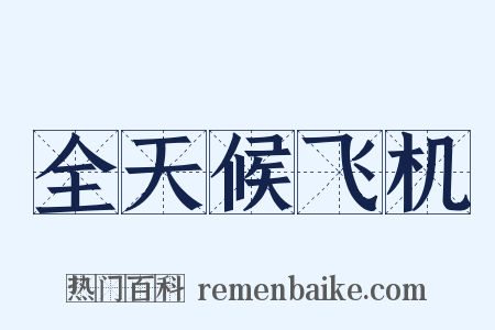 全天候飞机是什么意思的图片